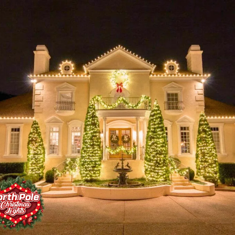 #1 Christmas Light Installation Company Modesto